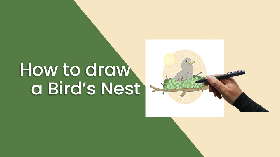 How to draw a bird's Nest | Simbans PicassoTab Standalone Drawing Tablet